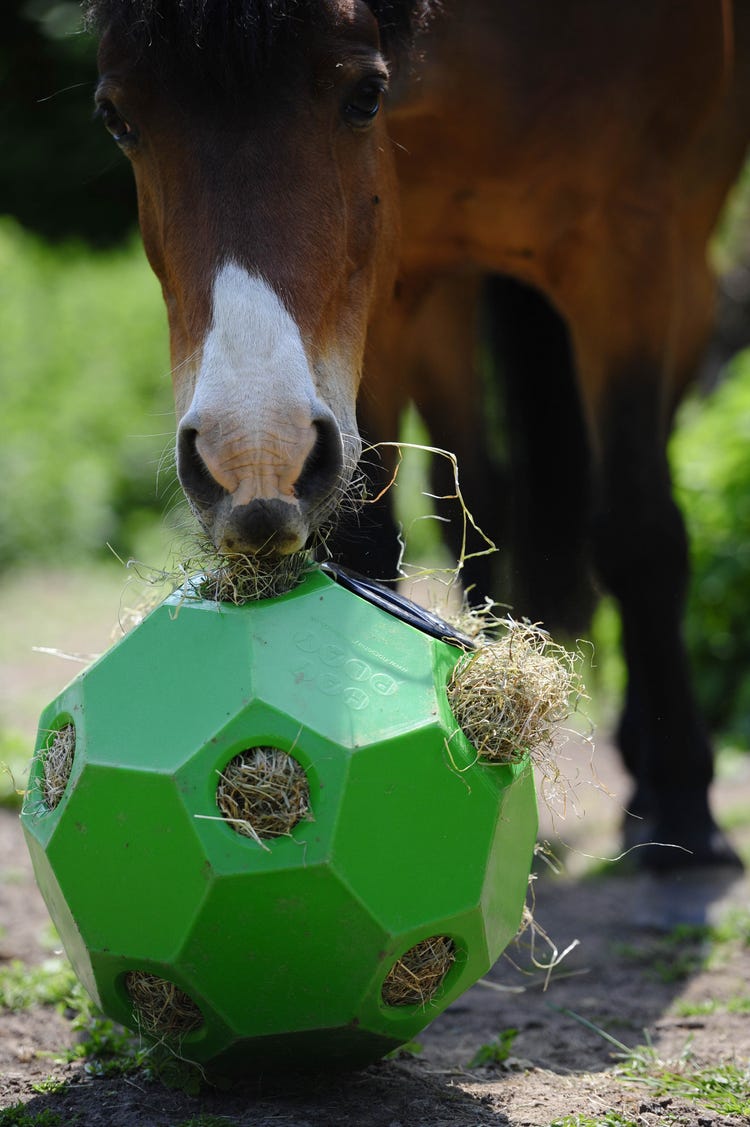 Parallax Hay Play image 9